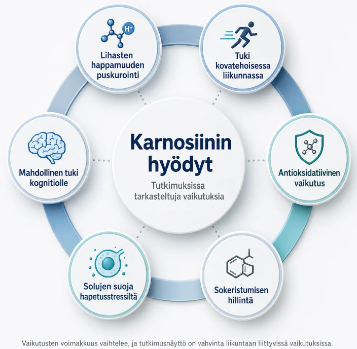 Karnosiinin hyödyt