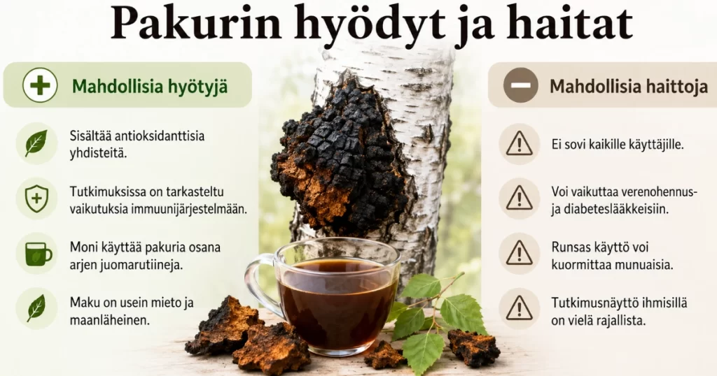Pakurin hyödyt ja haitat