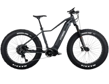 FitNord Rumble 1000 Sähköfatbike G2